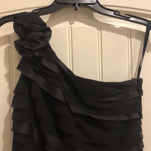NWOT WHBM SZ 6 .Satiny lining.Chiffon & satinlook - Picture 3 of 12